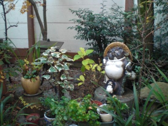 f:id:aiamdolly:20091226163217j:image