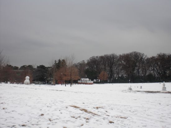 f:id:aiamdolly:20100202130014j:image