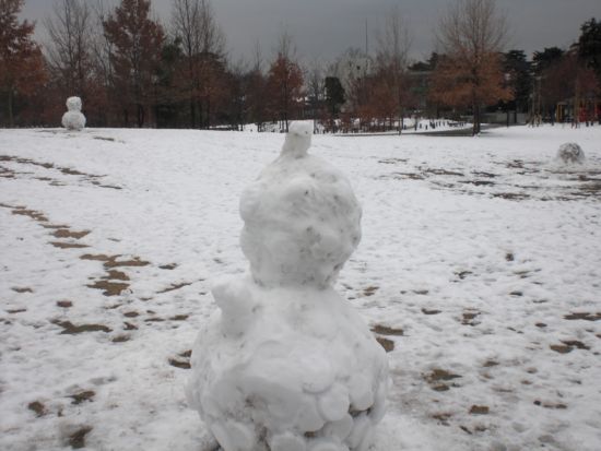 f:id:aiamdolly:20100202130042j:image