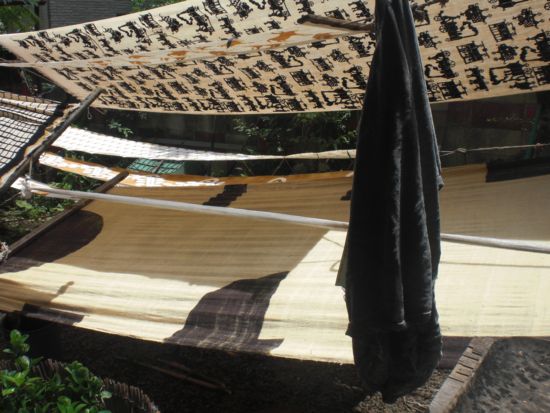 f:id:aiamdolly:20100630122843j:image