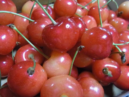 f:id:aiamdolly:20110627123613j:image