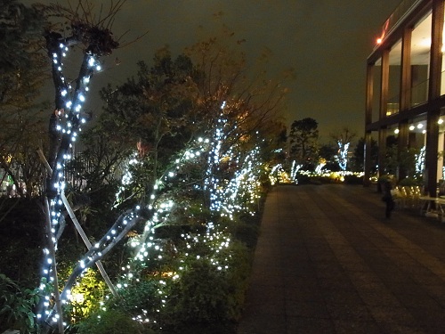 f:id:aiamdolly:20111202195429j:image