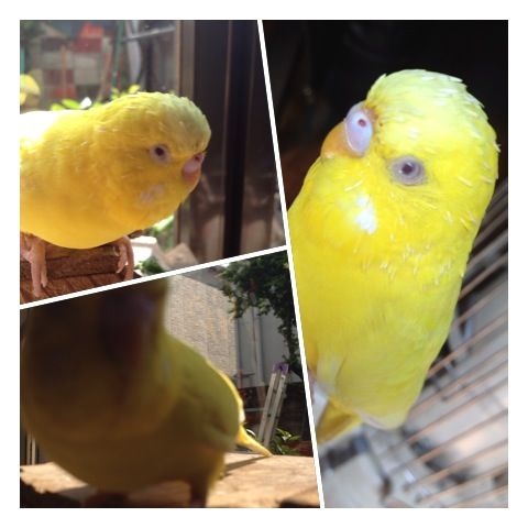 f:id:aiamdolly:20120421153538j:image