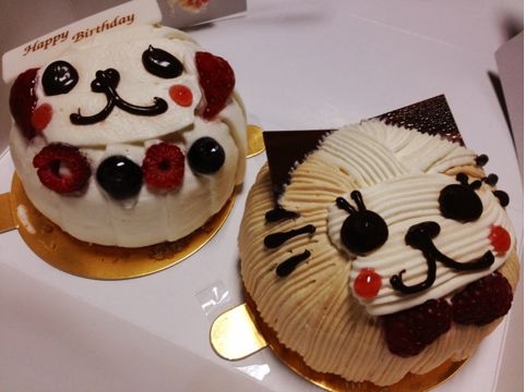 f:id:aiamdolly:20121128125807j:image