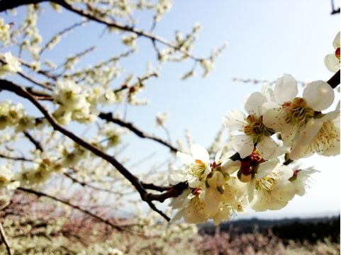 f:id:aiamdolly:20130319223809j:image f:id:aiamdolly:20130319223809j:image