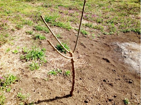 f:id:aiamdolly:20130319224251j:image f:id:aiamdolly:20130319224251j:image