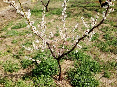 f:id:aiamdolly:20130319224359j:image f:id:aiamdolly:20130319224359j:image