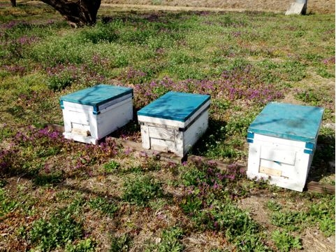 f:id:aiamdolly:20130319225018j:image f:id:aiamdolly:20130319225018j:image