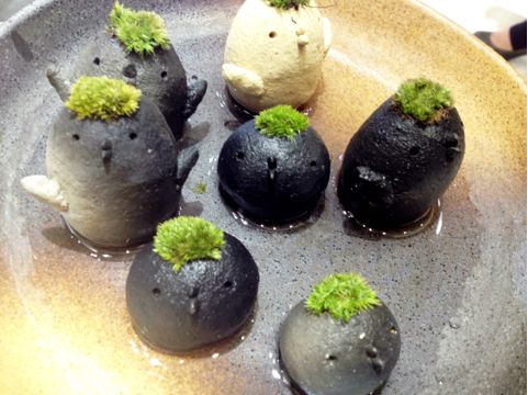 f:id:aiamdolly:20130418150521j:image