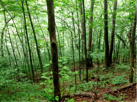 f:id:aiamdolly:20130812121601j:image f:id:aiamdolly:20130812121601j:image