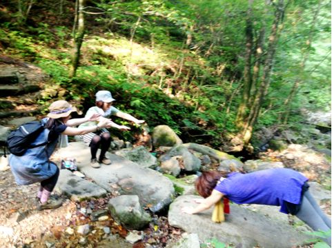 f:id:aiamdolly:20130812122546j:image f:id:aiamdolly:20130812122546j:image