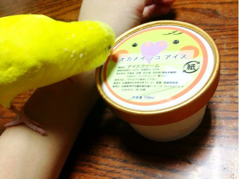 f:id:aiamdolly:20130912162956j:image f:id:aiamdolly:20130912162956j:image