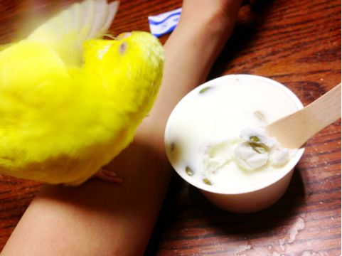 f:id:aiamdolly:20130912163220j:image f:id:aiamdolly:20130912163220j:image