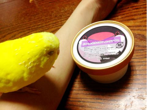 f:id:aiamdolly:20130912163624j:image f:id:aiamdolly:20130912163624j:image