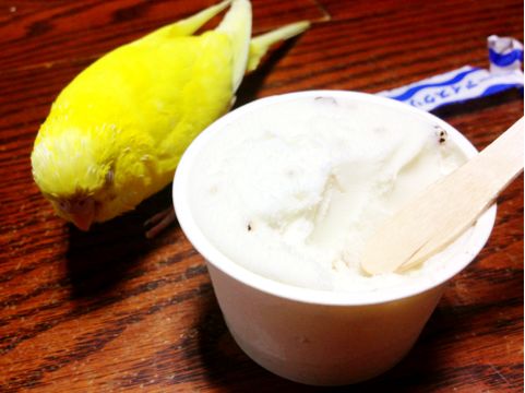 f:id:aiamdolly:20130912164317j:image f:id:aiamdolly:20130912164317j:image