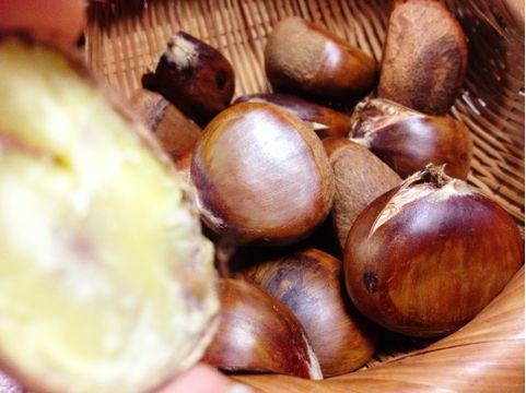 f:id:aiamdolly:20130928003440j:image