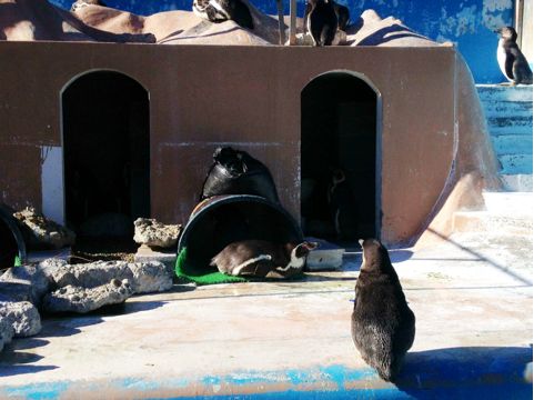 f:id:aiamdolly:20131223210711j:image