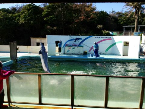 f:id:aiamdolly:20131223210808j:image