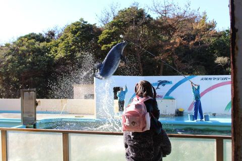 f:id:aiamdolly:20131223210900j:image