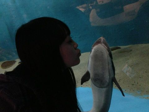 f:id:aiamdolly:20131223211029j:image