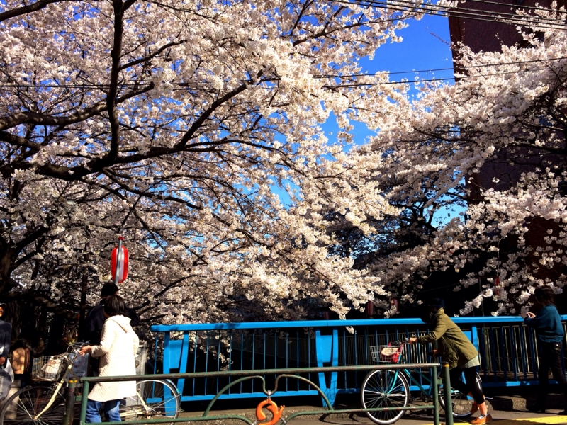 f:id:aiamdolly:20140402173553j:image:w360 f:id:aiamdolly:20140402173553j:image:w360