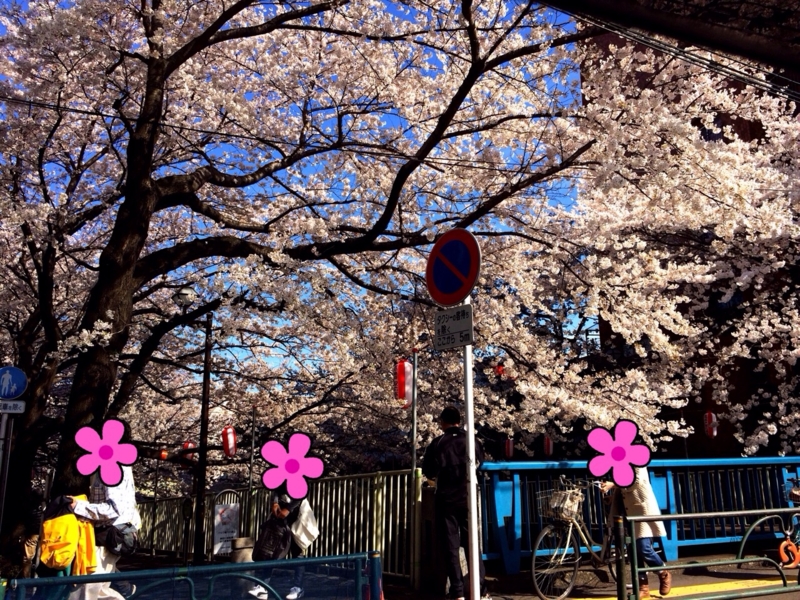 f:id:aiamdolly:20140402175249j:image:w360 f:id:aiamdolly:20140402175249j:image:w360