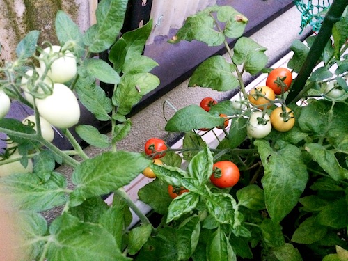 f:id:aiamdolly:20150812183726j:image