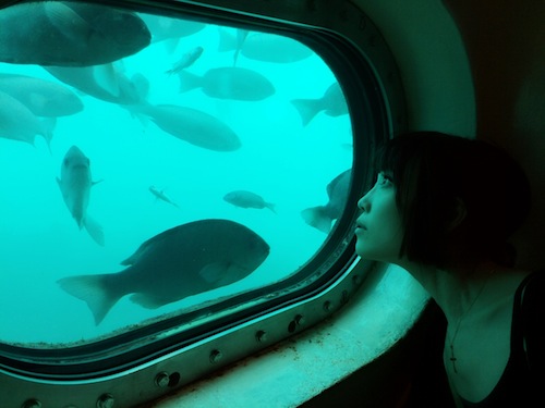 f:id:aiamdolly:20150905111500j:image