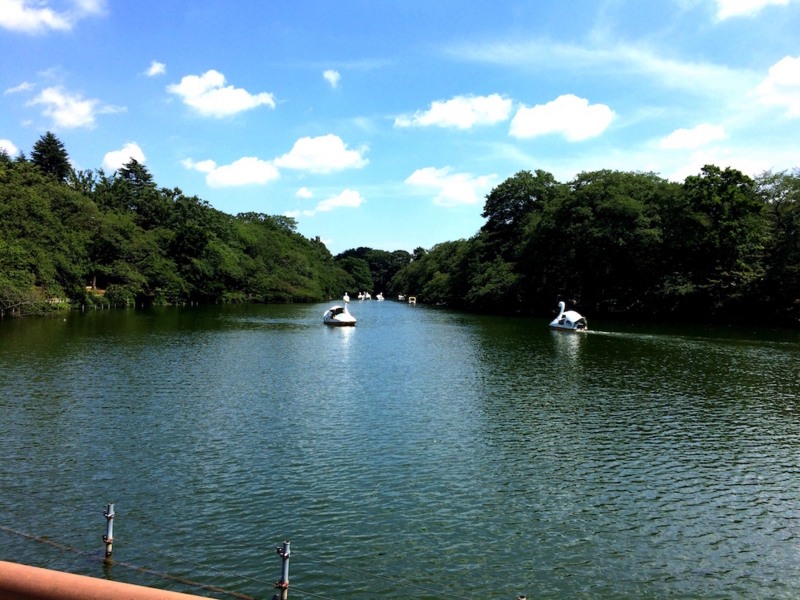 f:id:aiamdolly:20160805131255j:image:w500