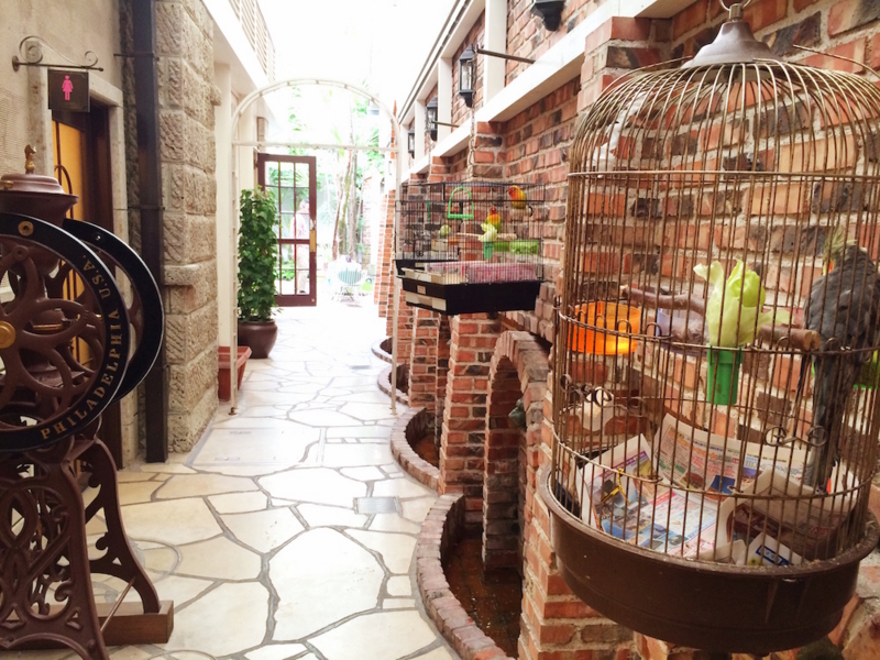 f:id:aiamdolly:20160915115126j:image:w500