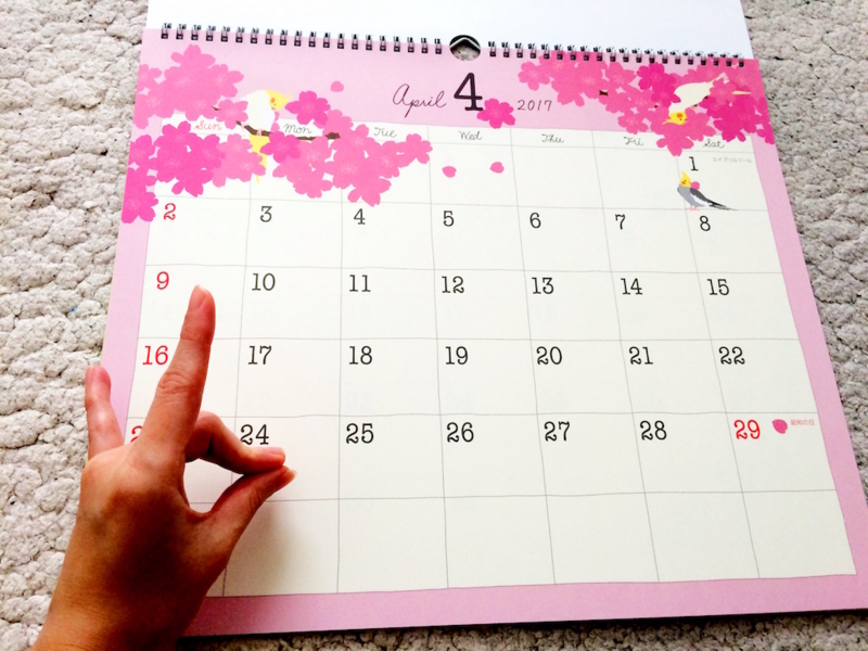 f:id:aiamdolly:20161113140801j:image:w500