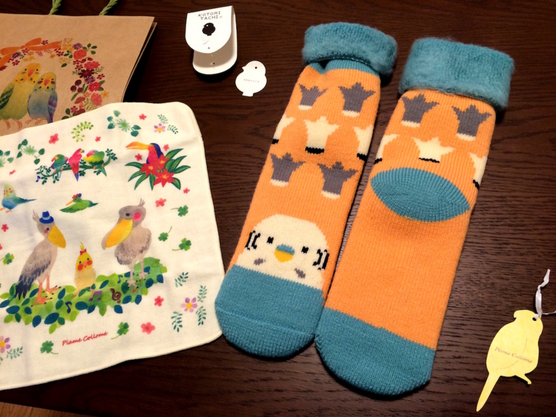 f:id:aiamdolly:20161126151620j:image:w500