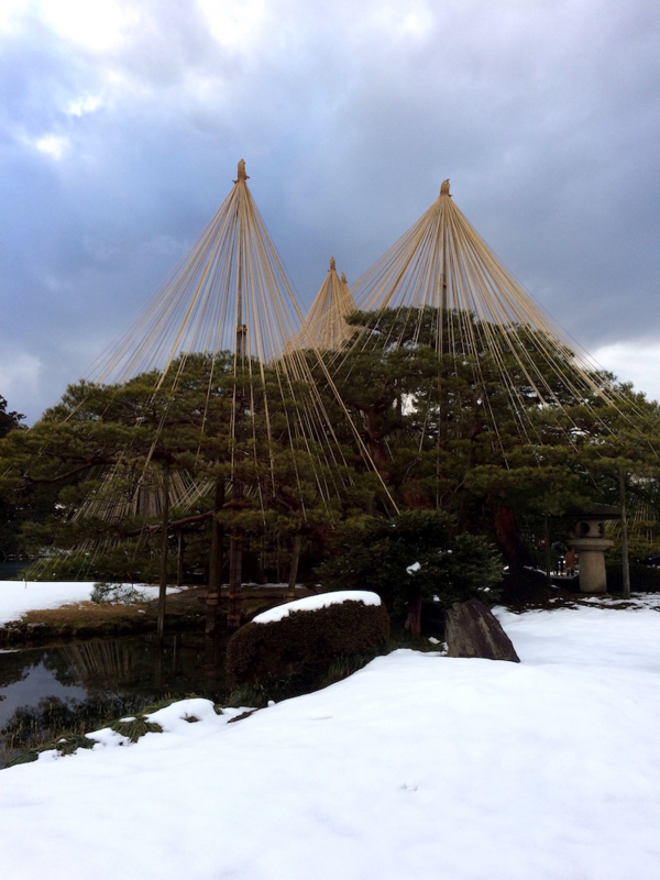 f:id:aiamdolly:20170213155656j:image:w360