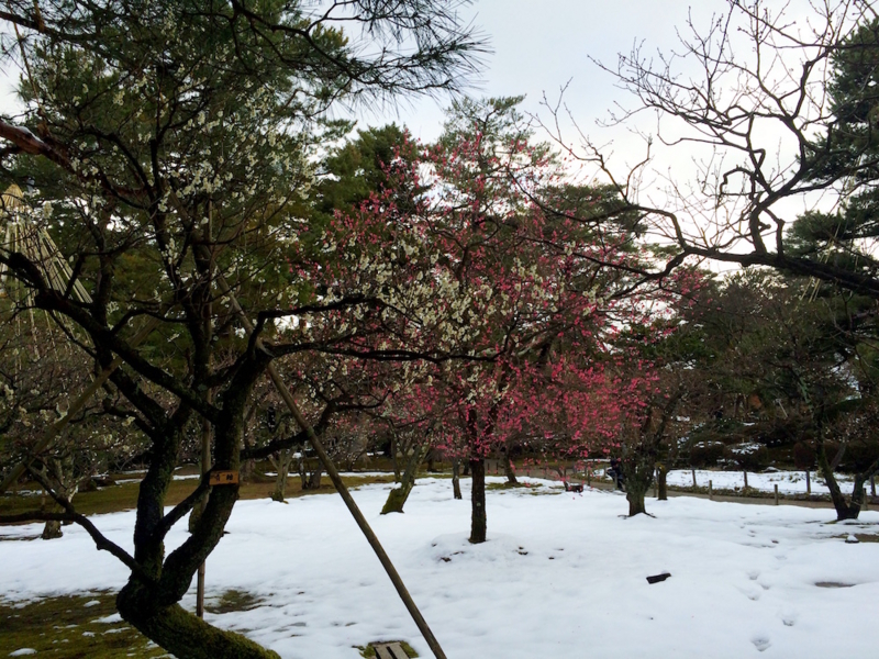 f:id:aiamdolly:20170213160247j:image:w500