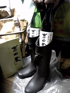 f:id:aiamdolly:20170214193500j:image:w360