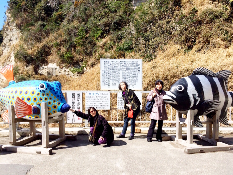 f:id:aiamdolly:20170303171959j:image:w500 f:id:aiamdolly:20170303171959j:image:w500