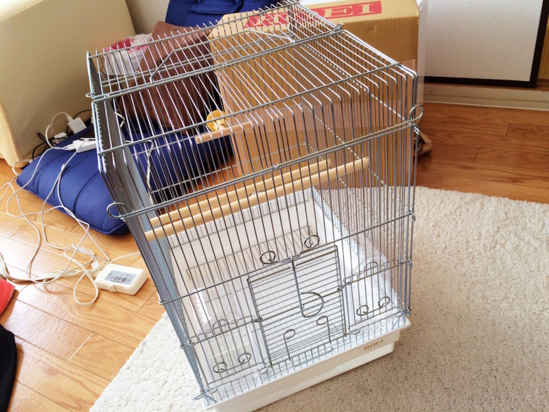 f:id:aiamdolly:20170310145100j:image:w500