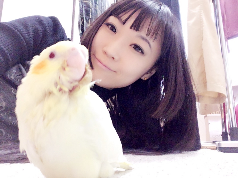 f:id:aiamdolly:20170316003742j:image:w360