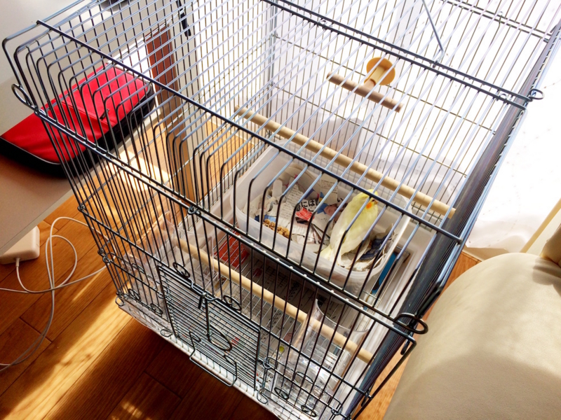 f:id:aiamdolly:20170316122855j:image:w500 f:id:aiamdolly:20170316122855j:image:w500