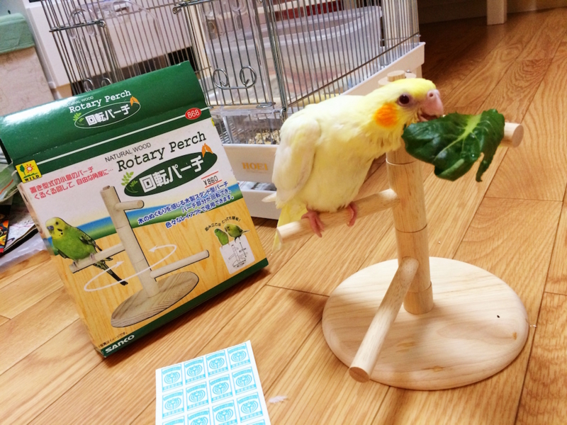 f:id:aiamdolly:20170325204843j:image:w500