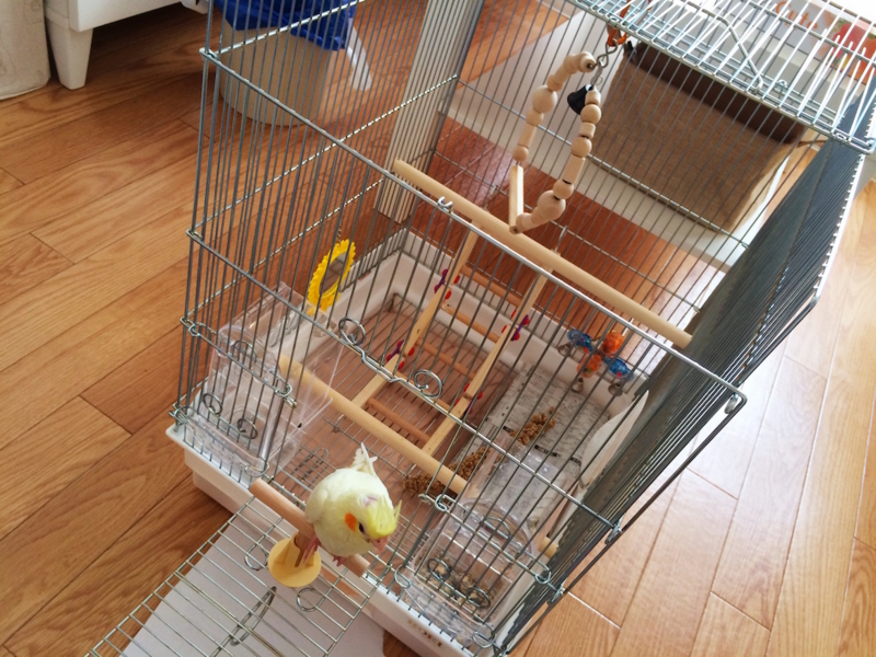 f:id:aiamdolly:20170402170151j:image:w500