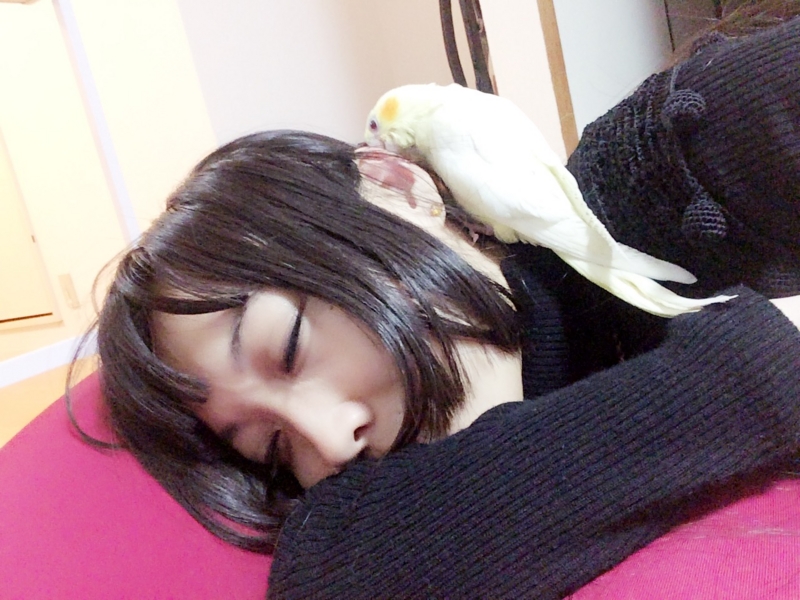 f:id:aiamdolly:20170403195640j:image:w400