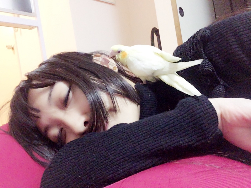 f:id:aiamdolly:20170403195642j:image:w400