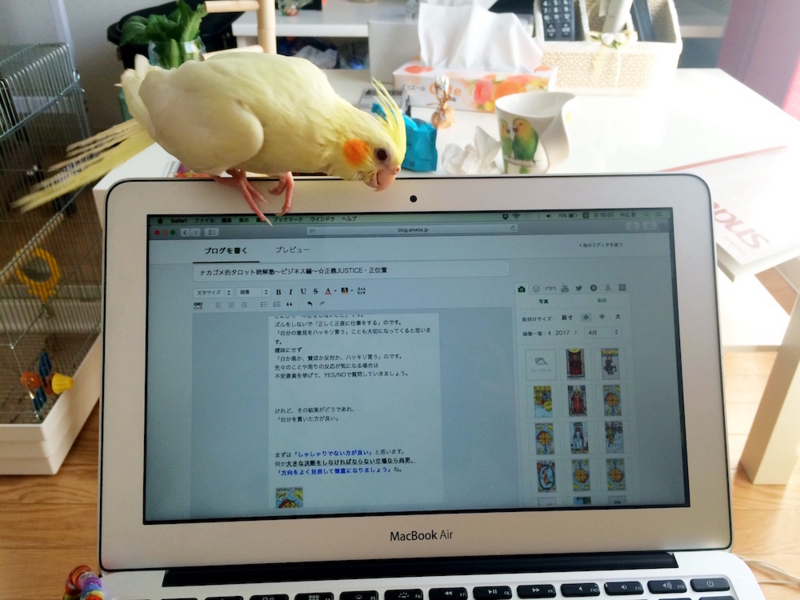 f:id:aiamdolly:20170416160032j:image:w500