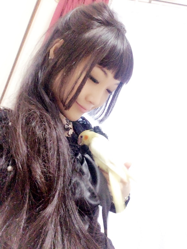 f:id:aiamdolly:20170416172849j:image:w360