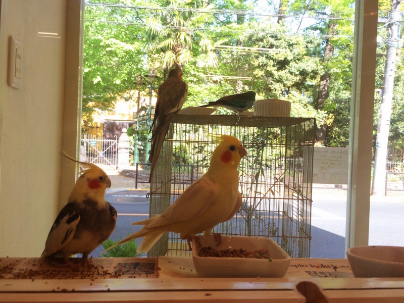 f:id:aiamdolly:20170425153839j:image:w500 f:id:aiamdolly:20170425153839j:image:w500