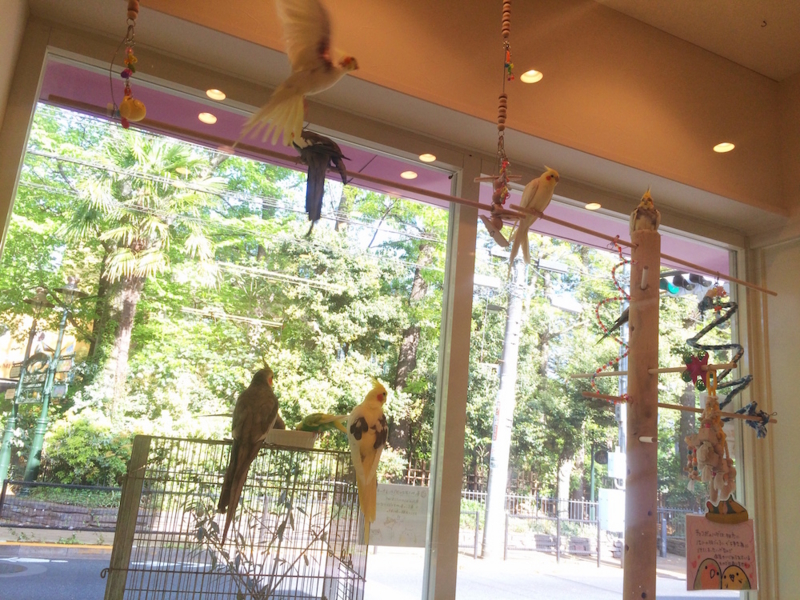 f:id:aiamdolly:20170425154344j:image:w500 f:id:aiamdolly:20170425154344j:image:w500