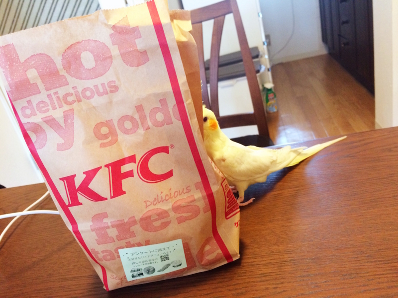 f:id:aiamdolly:20170507121008j:image:w500