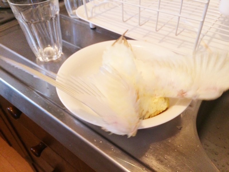 f:id:aiamdolly:20170508133335j:image:w500