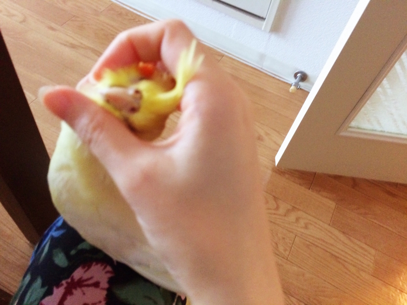 f:id:aiamdolly:20170616132933j:image:w500